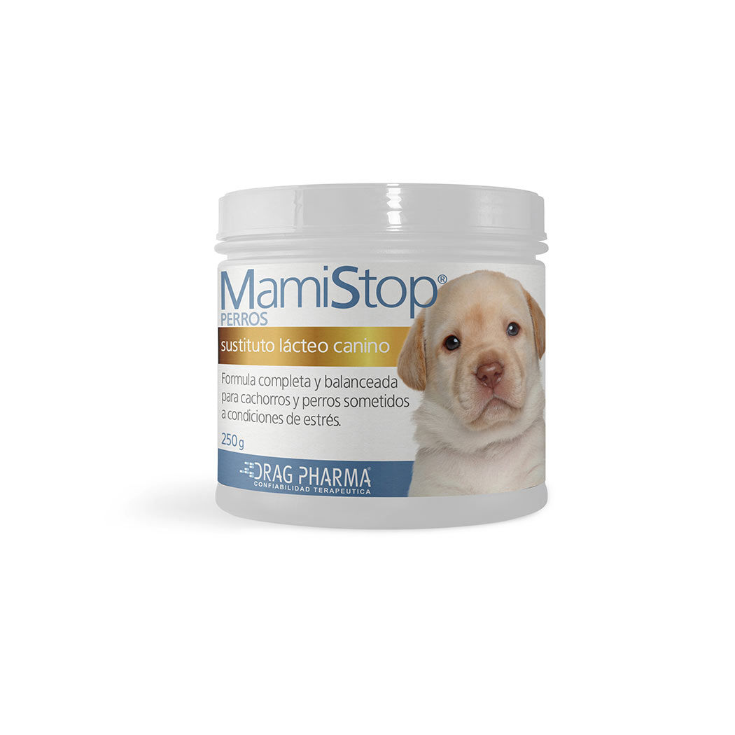 MAMISTOP PERRO POTE X 250 GR