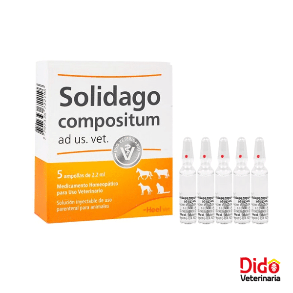 SOLIDAGO COMPOSITUM AMP 2.2 ML X 10 UND HEEL