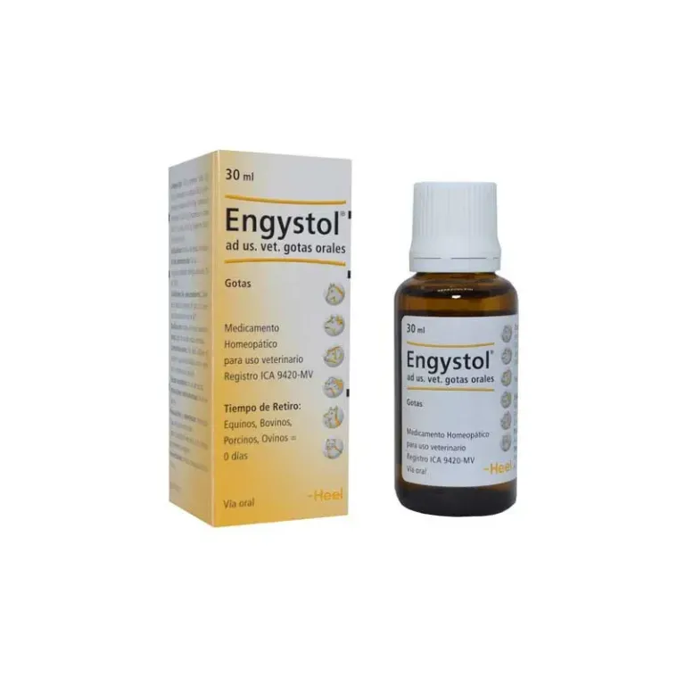 ENGYSTOL SOL ORAL GOTAS X 100 ML HEEL