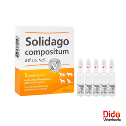 SOLIDAGO COMPOSITUM AMP 2.2 ML X 10 UND HEEL