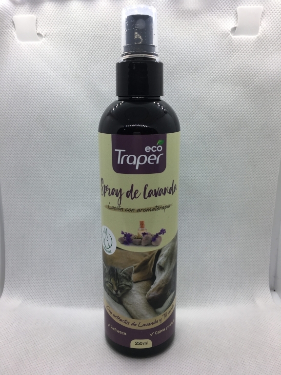 ECHINACEA ANGUSTIFOLIA D-6 X 15 G GLOBULOS SIMPLES