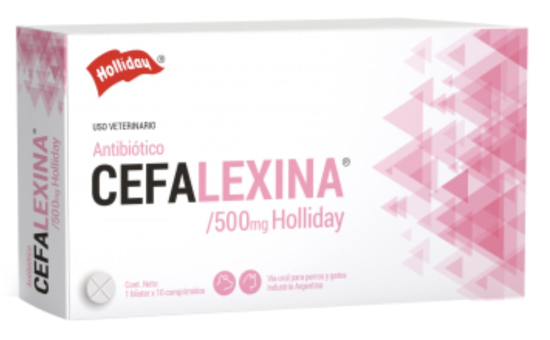 CEFALEXINA COM 500 MG X 10...