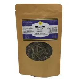 MELISA TORONJIL X 24 G 