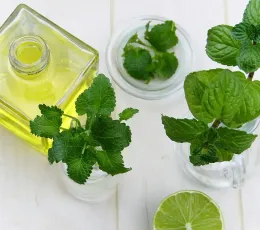 MENTA 20 GR SOBRES