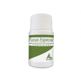 FUCUS ESPECIAL COM X 50 KNOP