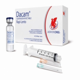 DACAM RAPI-LENTO  3ML X 1 AMPOLLA
