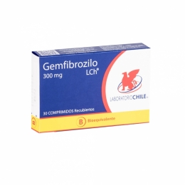 GEMFIBROZILO 300 MG X 30 COMPRIMIDOS