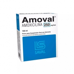 AMOVAL SUS 250MG X 100ML