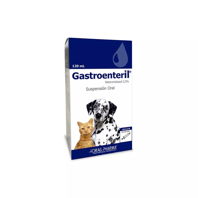 GASTROENTERIL SUS ORAL X 120 ML