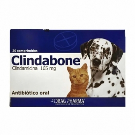 CLINDABONE COM 165 MG X 20