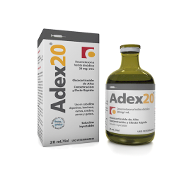 ADEX AMP X 20 ML