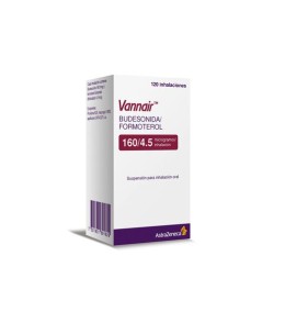 VANNAIR INHALADOR 160/4,5 MCG X 120 DOSIS