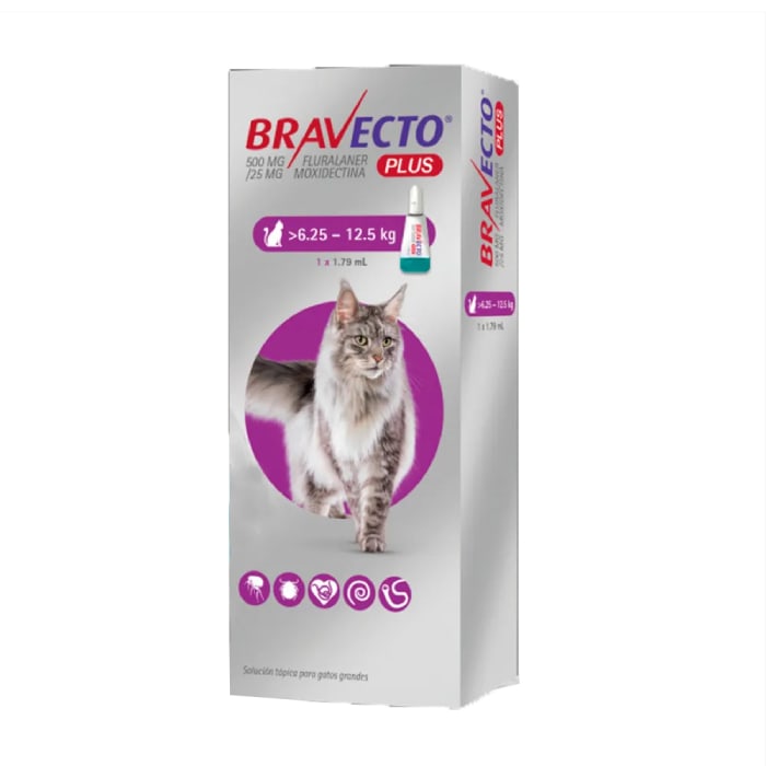 BRAVECTO PLUS PIPETA GATO...