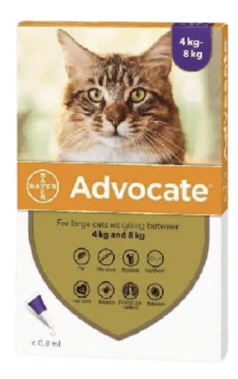 ADVOCATE GATOS 4-8 KG