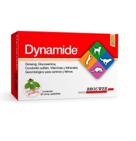 DYNAMIDE X 30 COMPRIMIDOS